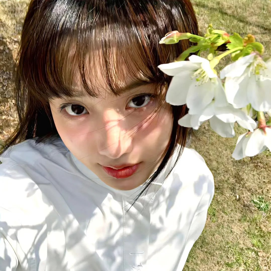 新古惑仔之少年激斗篇