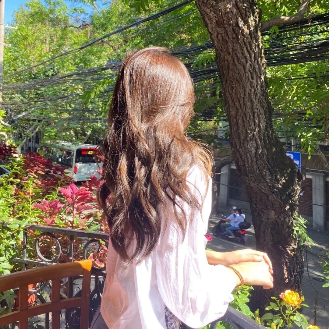 请君谪我凤凰台